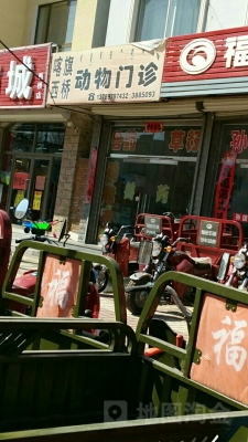 赤峰動(dòng)物救助電話多少號(hào)碼-第1張圖片