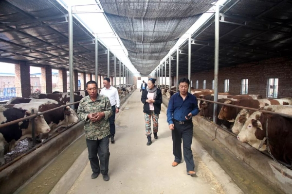 赤峰肉牛檢疫中心電話號(hào)碼查詢-第1張圖片