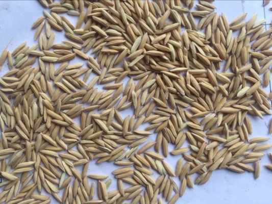 赤峰德陽齋糕點店地址電話號碼-第1張圖片