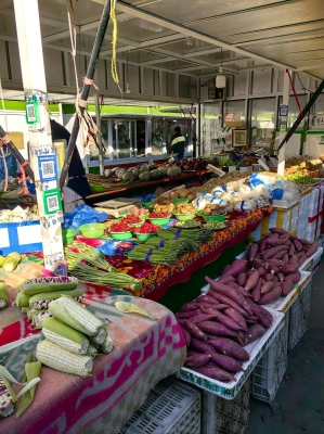 赤峰早市炸油條電話號碼查詢-第1張圖片