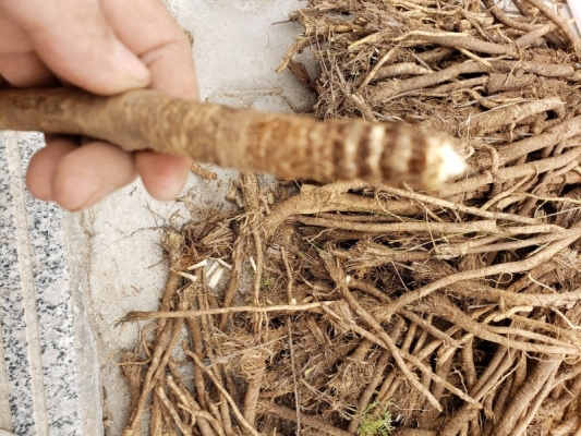 內(nèi)蒙古赤峰防風(fēng)辦電話號(hào)碼-第1張圖片