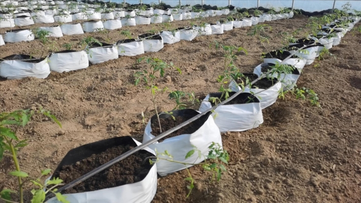 赤峰本地有機(jī)肥公司電話號(hào)碼-第1張圖片