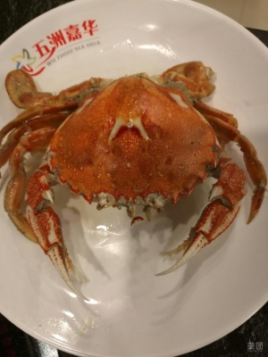 赤峰市敖漢旗美團(tuán)電話號(hào)碼-第1張圖片