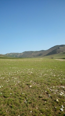 赤峰巴林左旗紅娘店電話號(hào)碼-第1張圖片