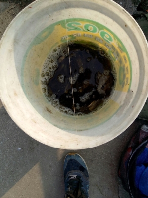 赤峰球球選品店地址電話號(hào)碼-第1張圖片