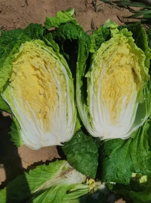 赤峰出售大白塊廠家電話號碼-第1張圖片