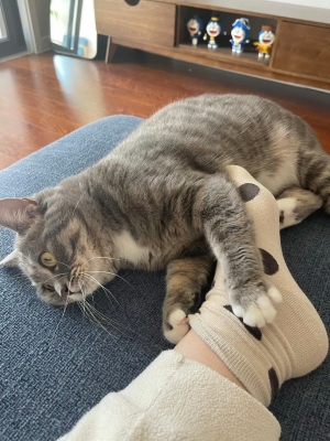 赤峰撈汁小海鮮電話地址查詢-第1張圖片