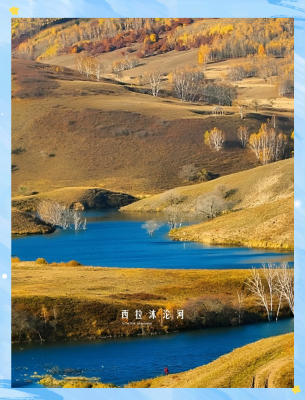 赤峰溜達大鵝電話多少號-第1張圖片