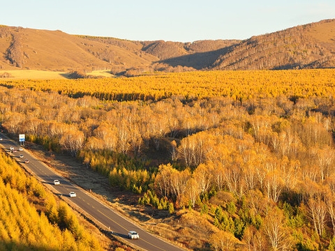 赤峰樺木溝林場-第1張圖片