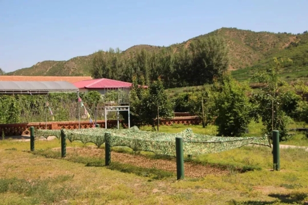 赤峰少兒試鏡中心電話地址查詢-第1張圖片